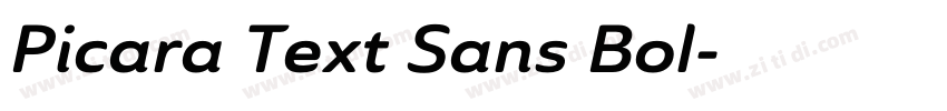 Picara Text Sans Bol字体转换